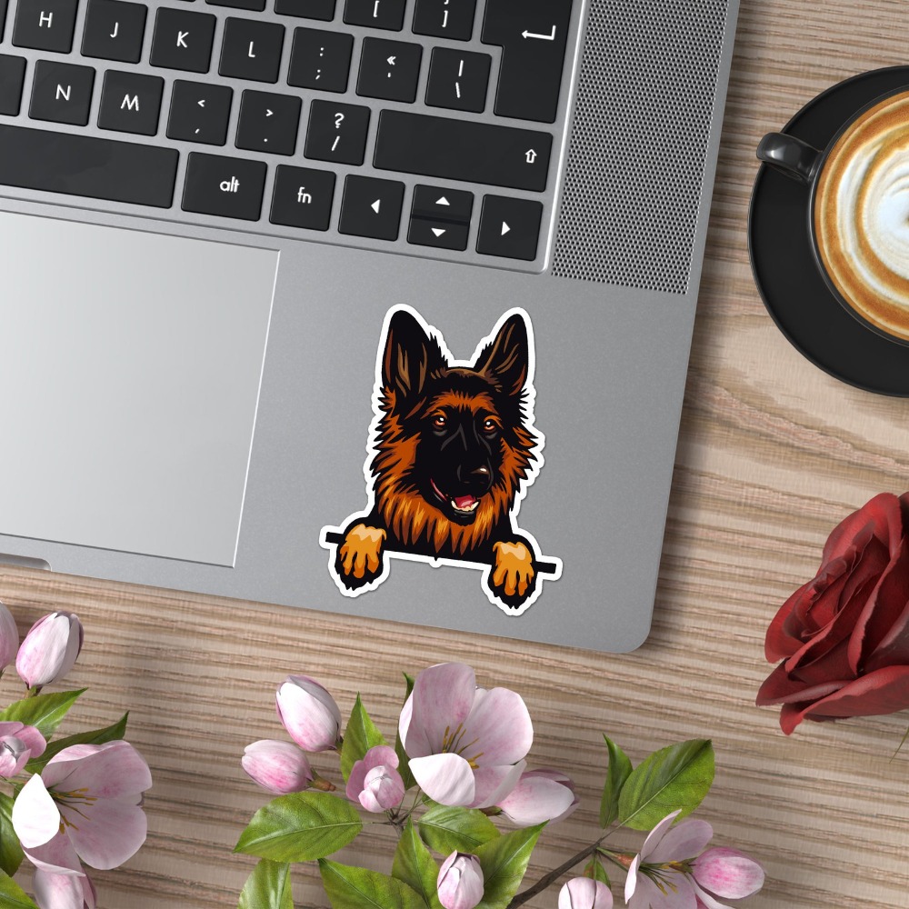 Виниловая наклейка на окно с и – обзор и цена Laptop Accessories To Have