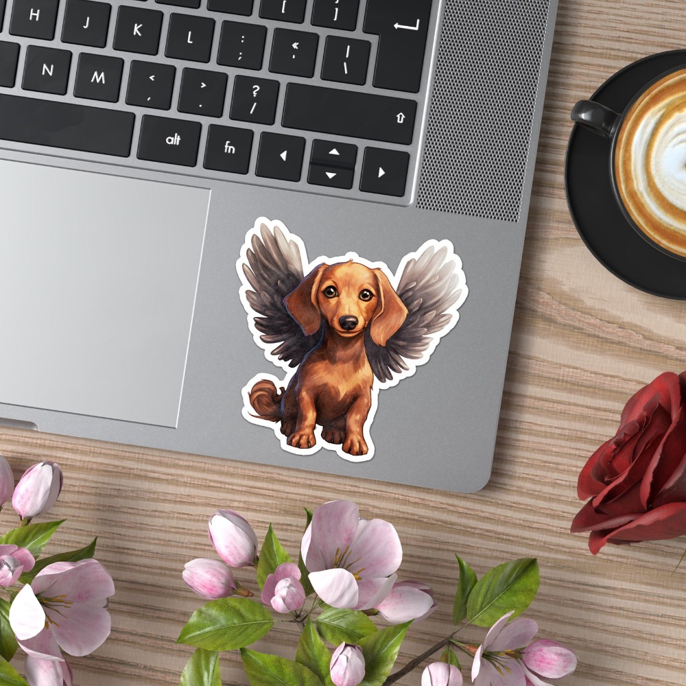 Новая классическая виниловая н – обзор и цена Laptop Accessories To Have